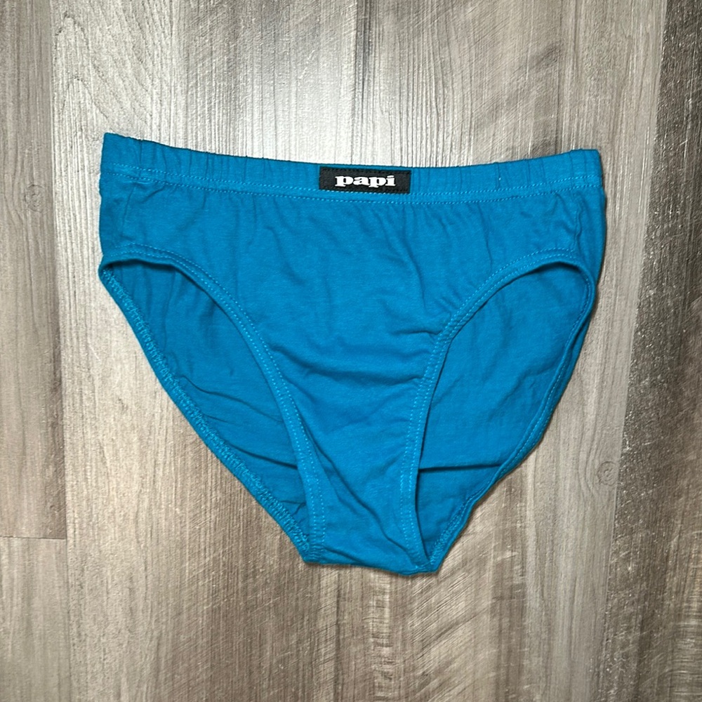 Papi Teal Cotton Low Rise Bikini Brief - Small